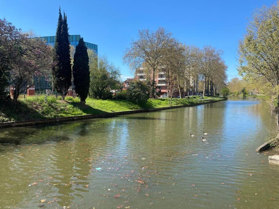 Appartamento Le Petit Minimes Au Bord Du Canal Du Midi Tolosa Esterno foto